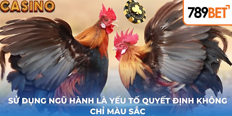 Sử dụng ngũ hành là yếu tố quyết định không chỉ màu sắc